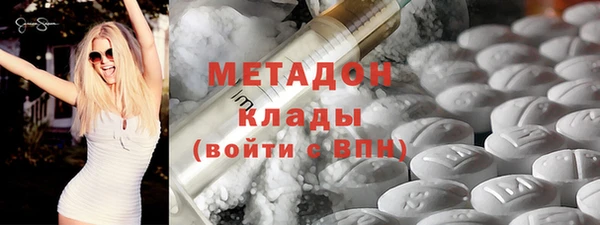 стаф Корсаков