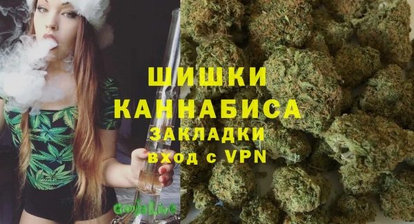 ПСИЛОЦИБИНОВЫЕ ГРИБЫ Краснослободск